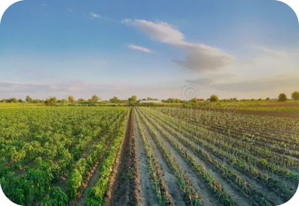 AGROTECH 2.0